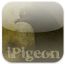 iPigeon_icon_klein